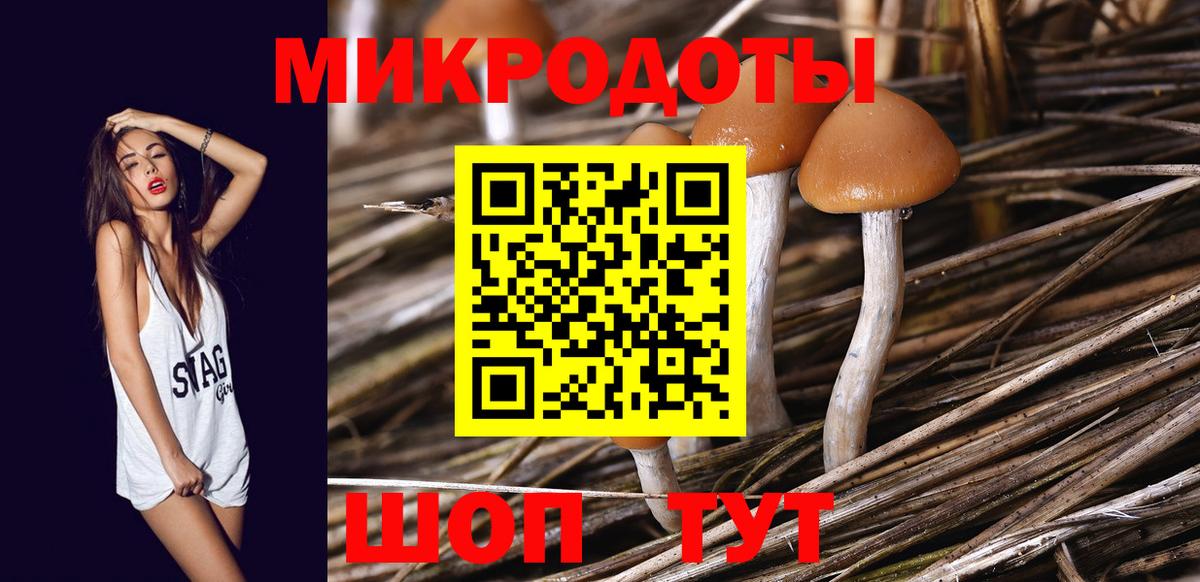 Галлюциногенные грибы прущие грибы Красноуфимск