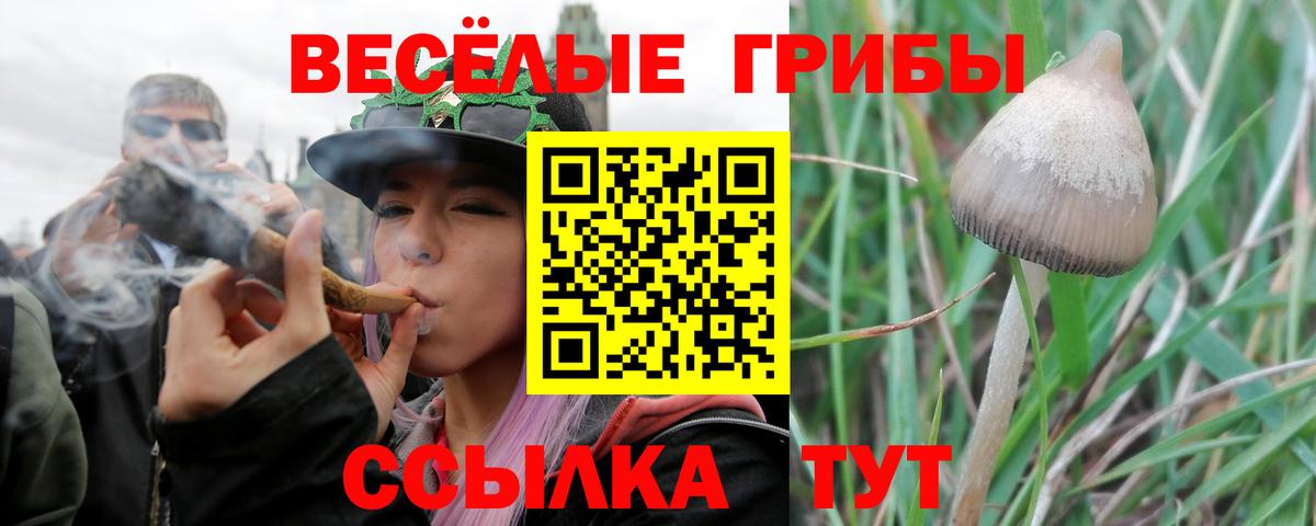 Красноуфимск  Галлюциногенные грибы Psilocybe  Псилоцибиновые грибы Magic Shrooms  Вход с VPN 